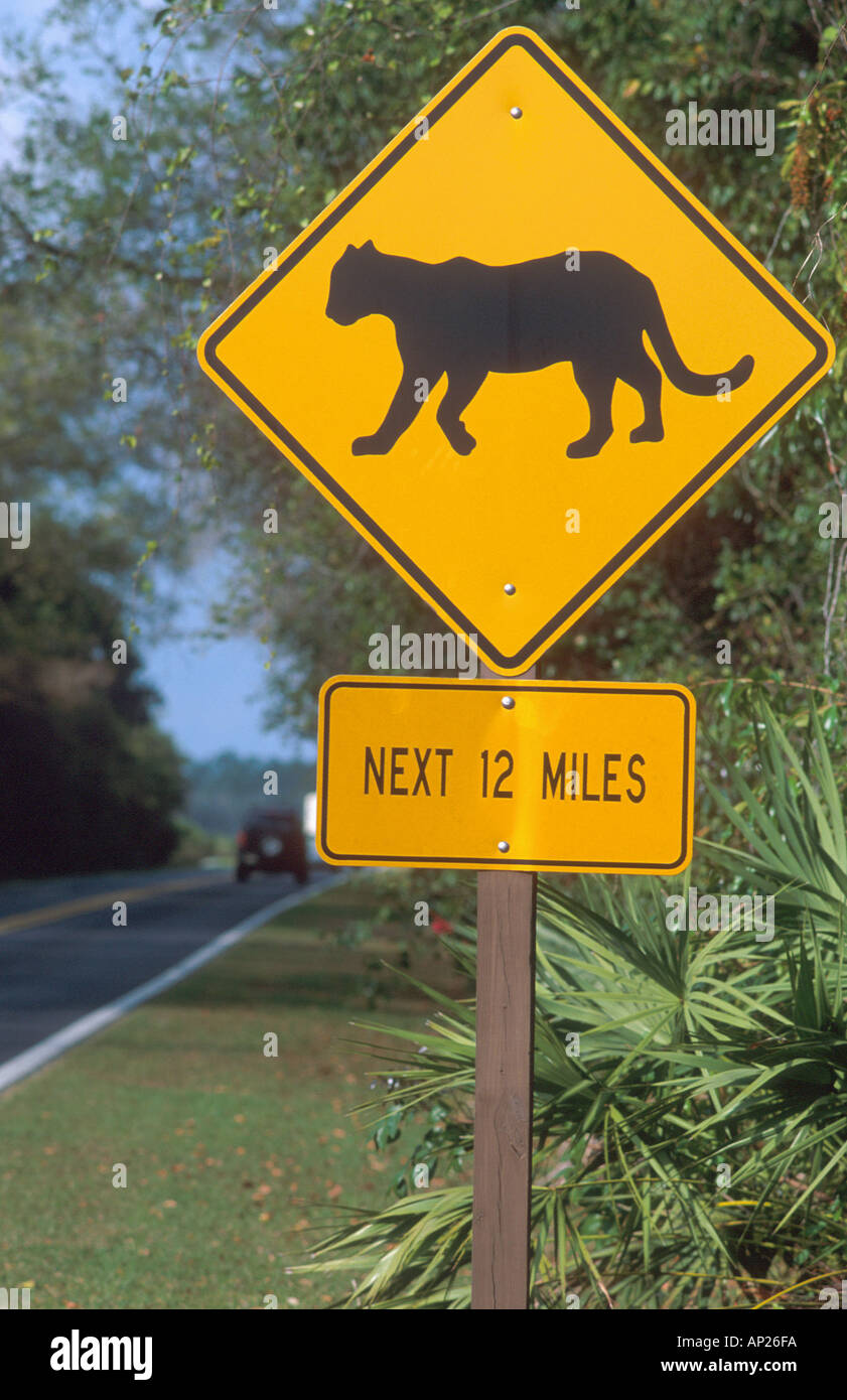 Panther crossing sign in Everglades della Florida Foto Stock