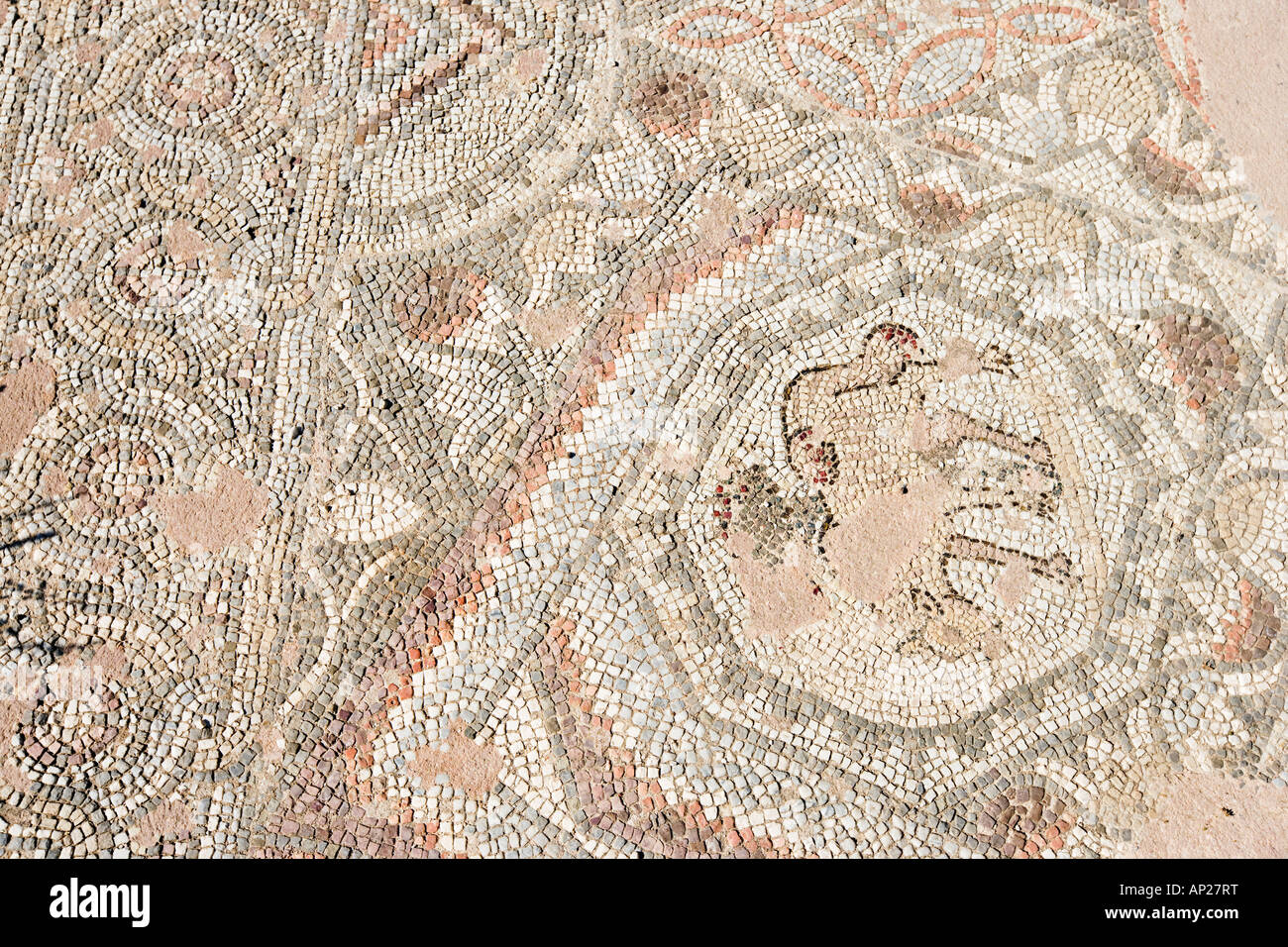 Dettaglio del mosaico, Basilica di Chrysopolitissa (o Agia Kiriaki), Paphos, nella costa occidentale di Cipro Foto Stock