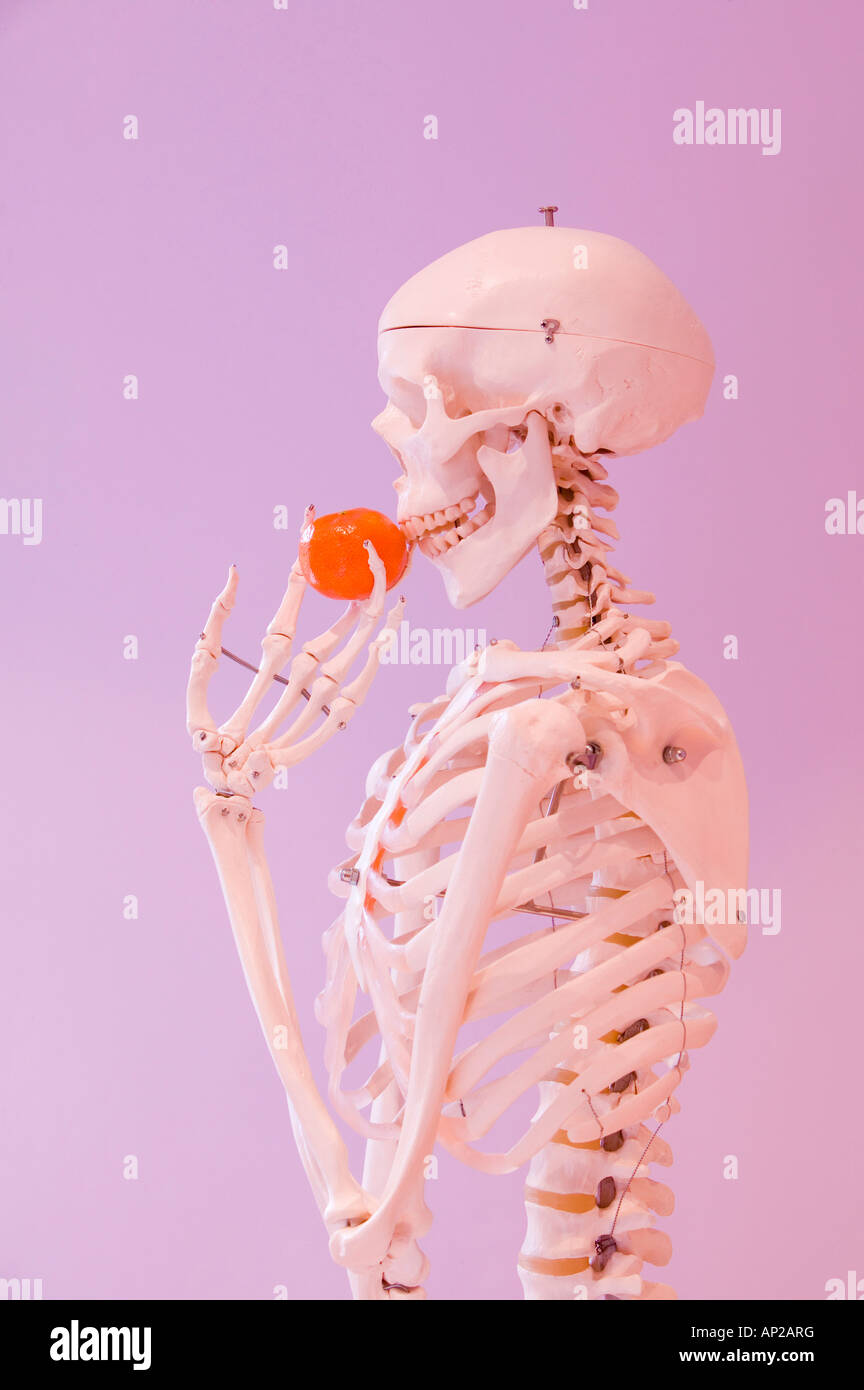 Uno scheletro umano di mangiare un mandarino Foto Stock