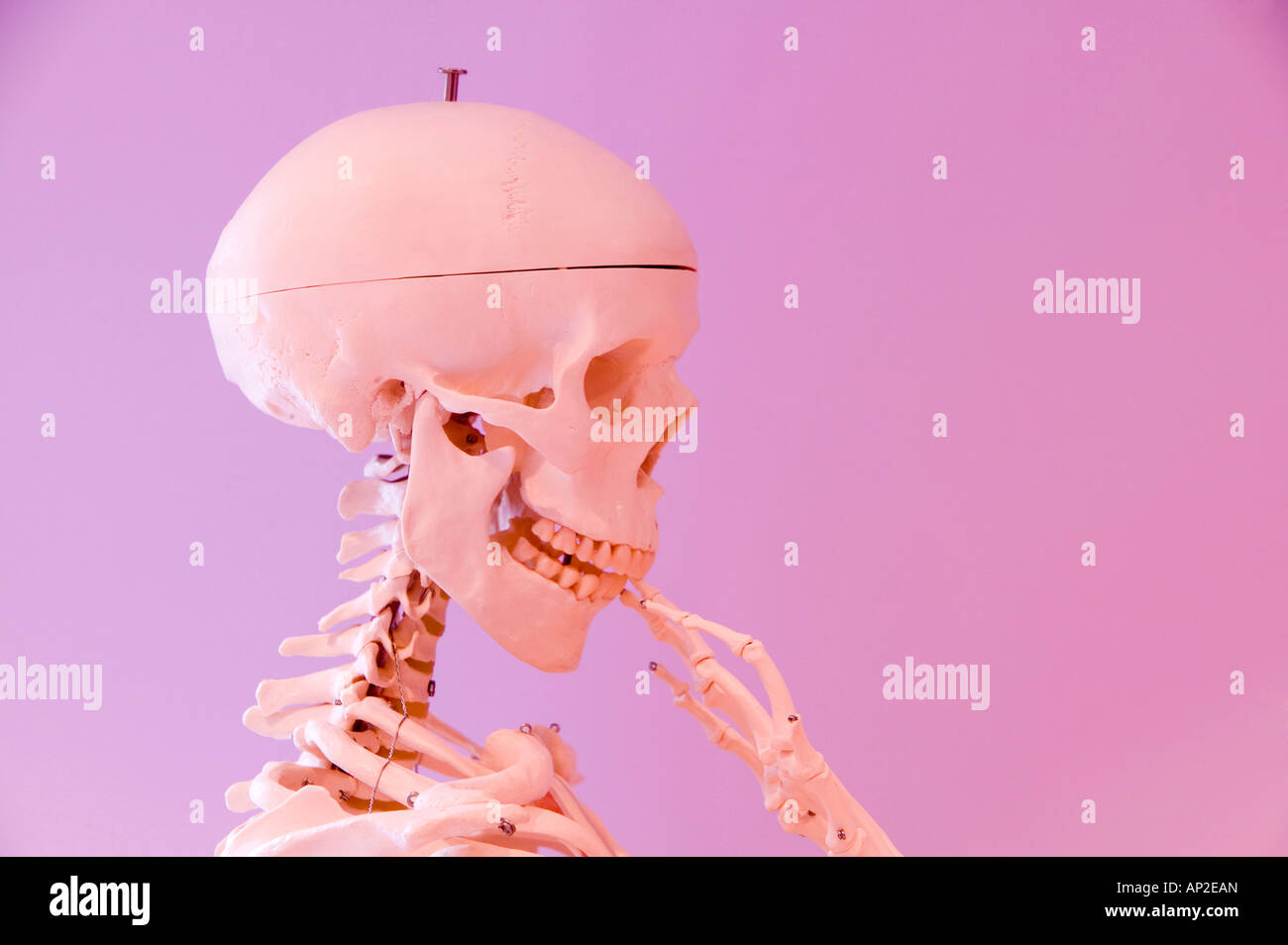 Uno scheletro umano in un ragionato pongono Foto Stock
