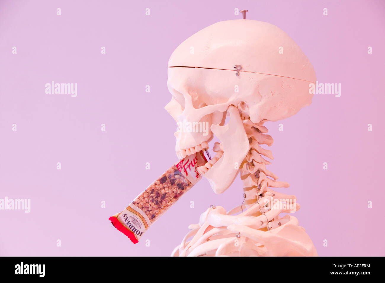 Uno scheletro umano di mangiare un biscotto Foto Stock