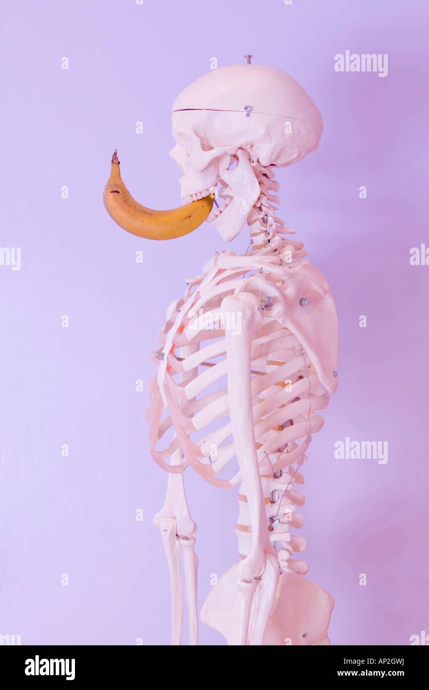 Uno scheletro umano di mangiare una banana Foto Stock
