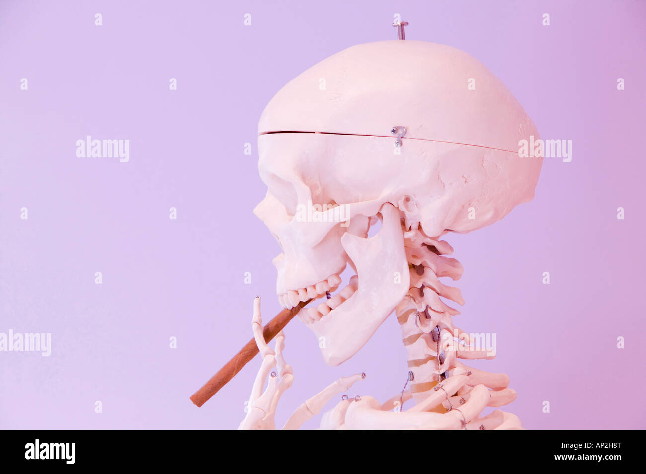 Uno scheletro umano di fumare un sigaro Foto Stock