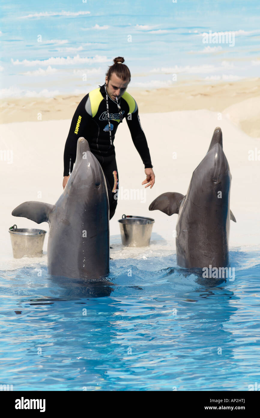 Dolphin trainer in un pubblico spettacolo, theme park, Italia. Foto Stock