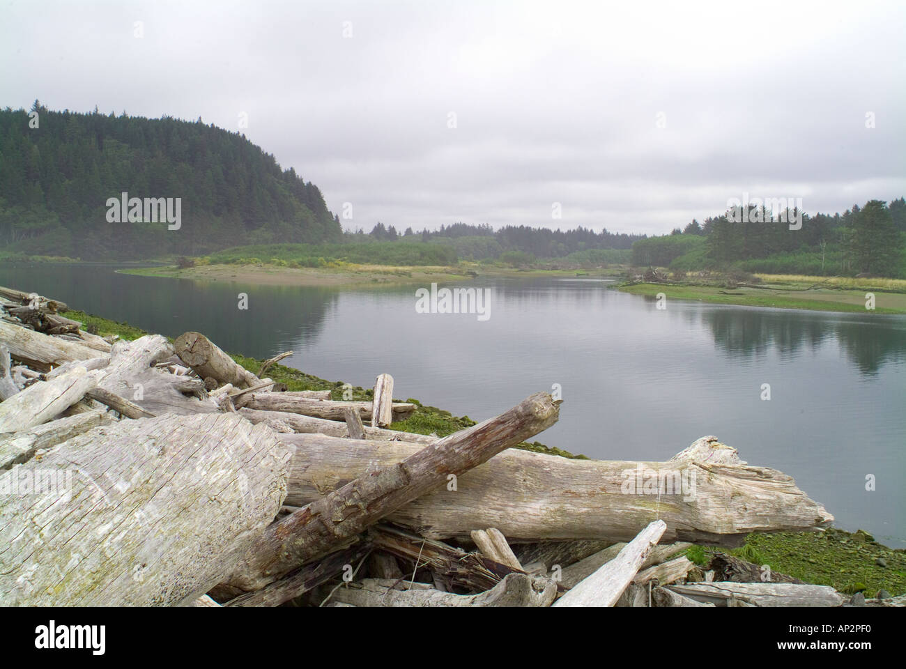 Stato di Washington WA Quillayute fiume vicino alla città di La Push e il Parco Nazionale di Olympic driftwood bocca di Foto Stock