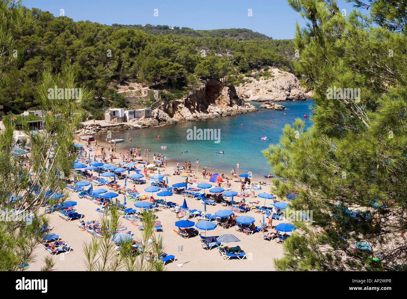 Bay, Porto Sant Miquel, Platja de Sant Miquel, Ibiza, Isole Baleari, Spagna Foto Stock