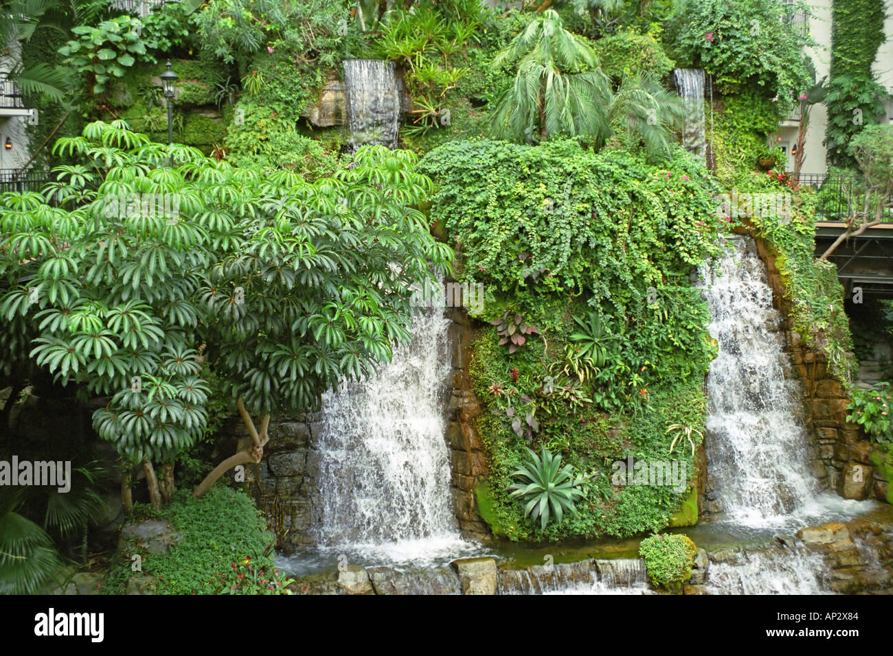 Cascate all'interno di Gaylord Opryland Hotel a Nashville Tennessee USA Foto Stock