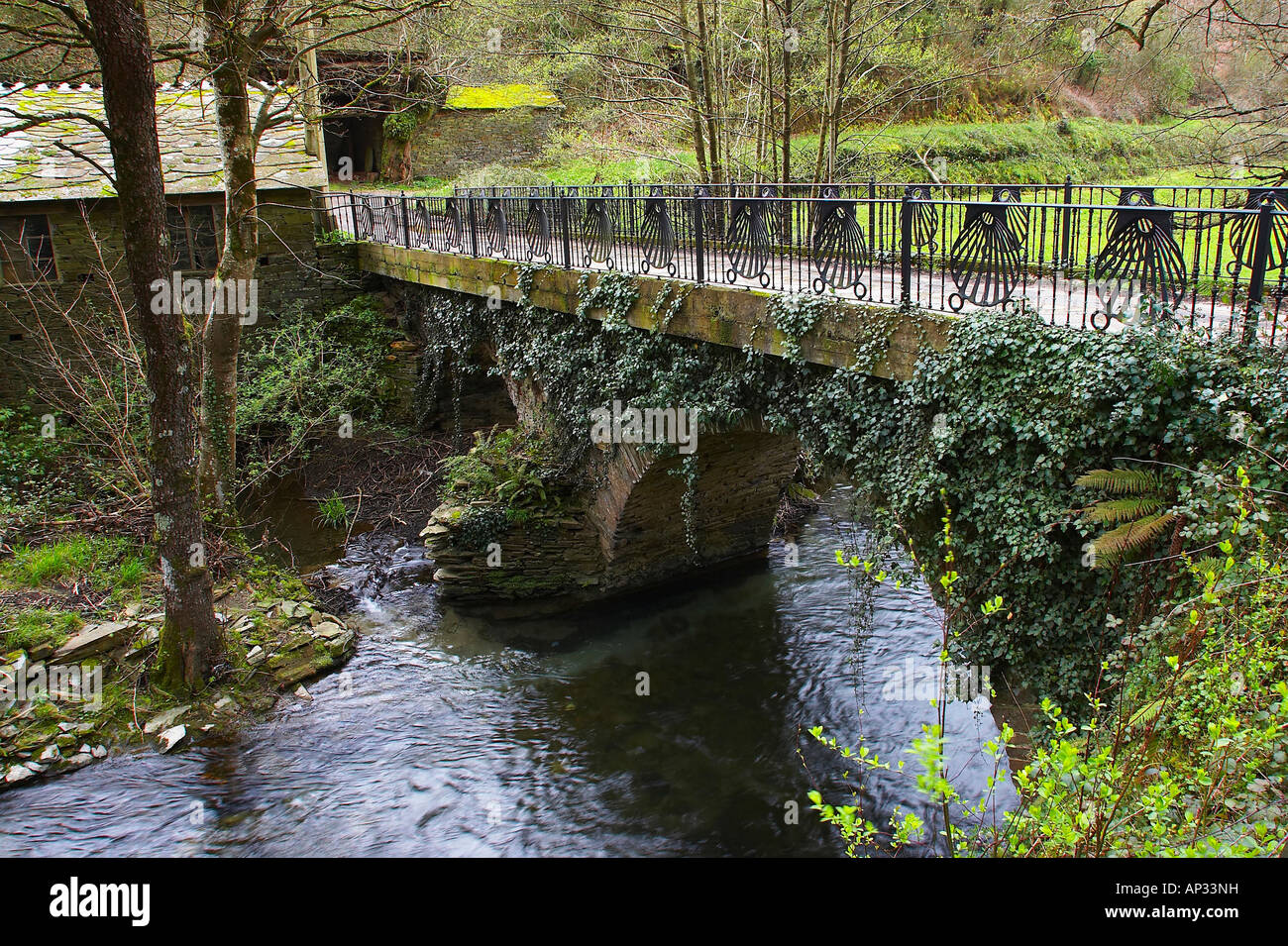 Ringhiera sul ponte a forma di conchiglie, vicino a Samos, Galizia, Spagna Foto Stock
