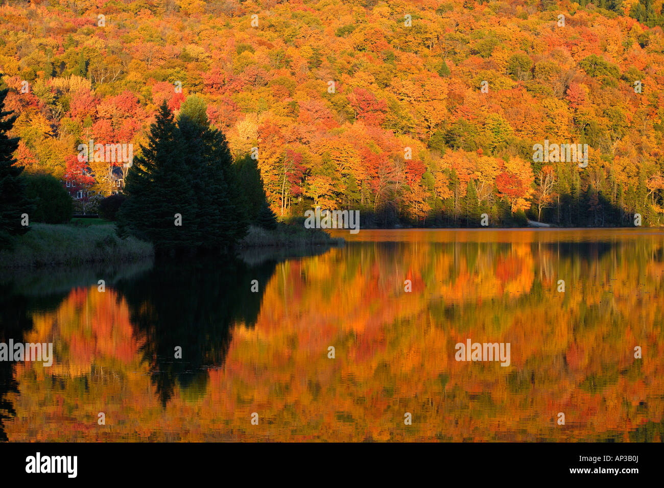 Lago a Dixville tacca in autunno, New Hampshire, STATI UNITI D'AMERICA Foto Stock