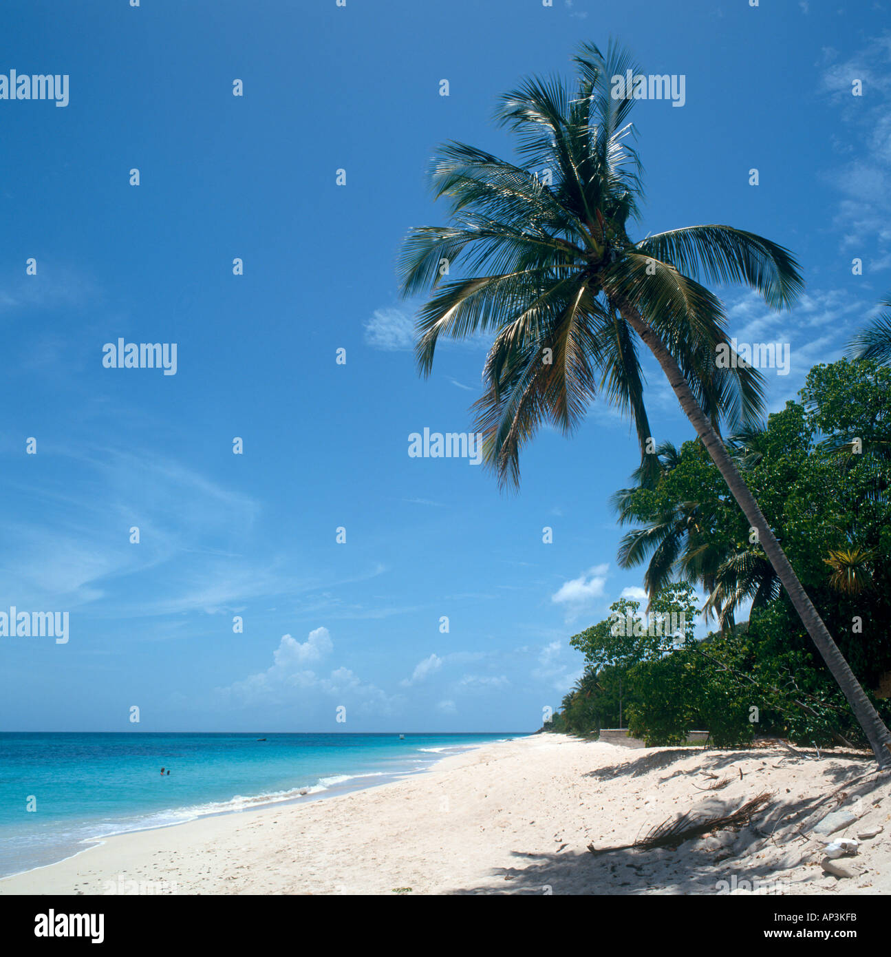Johnson Point Beach, South Coast, Antigua, West Indies, dei Caraibi Foto Stock