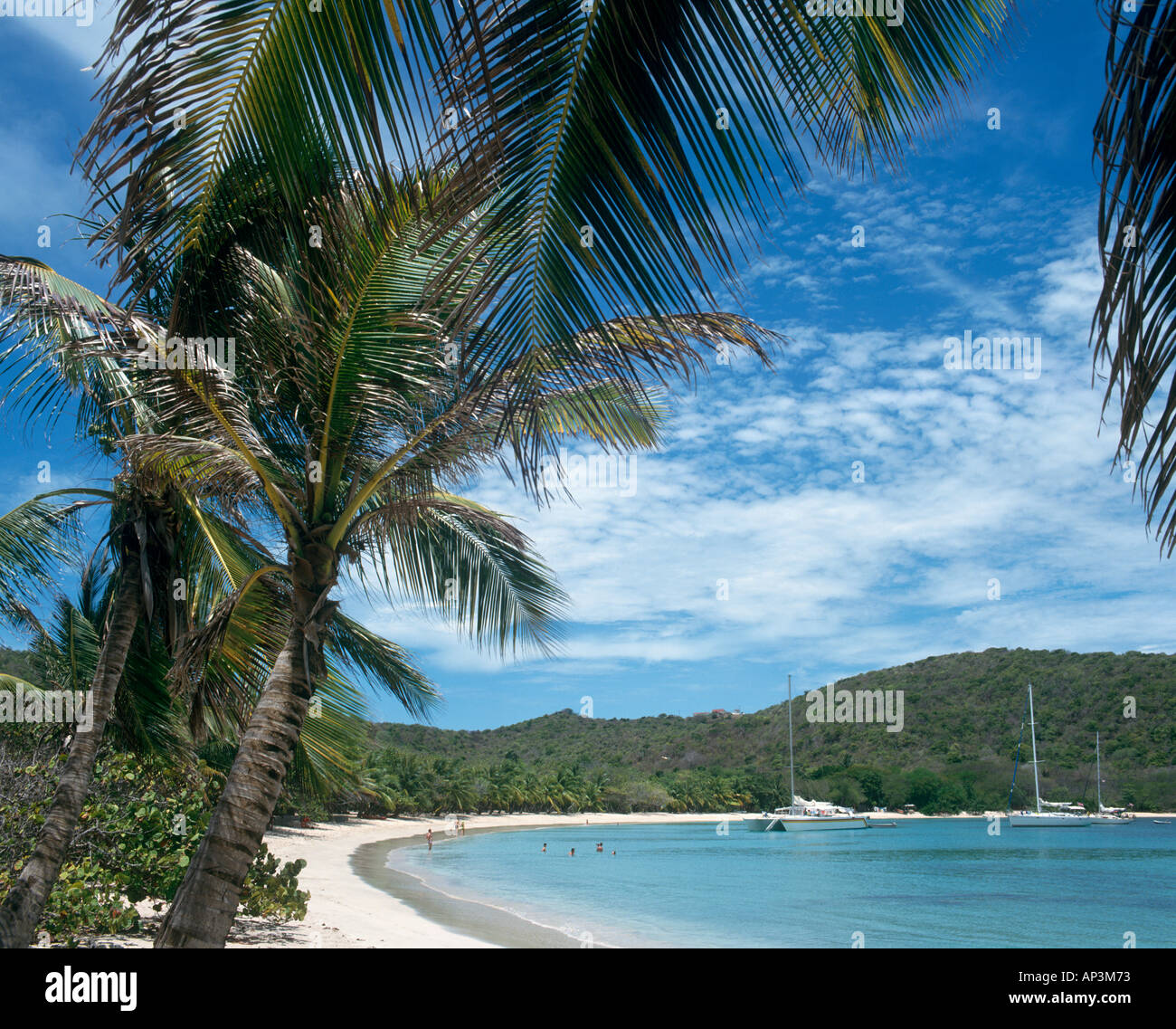Spiaggia tranquilla, Satwhistle Bay, Mayreau, Grenadine, West Indies, dei Caraibi Foto Stock