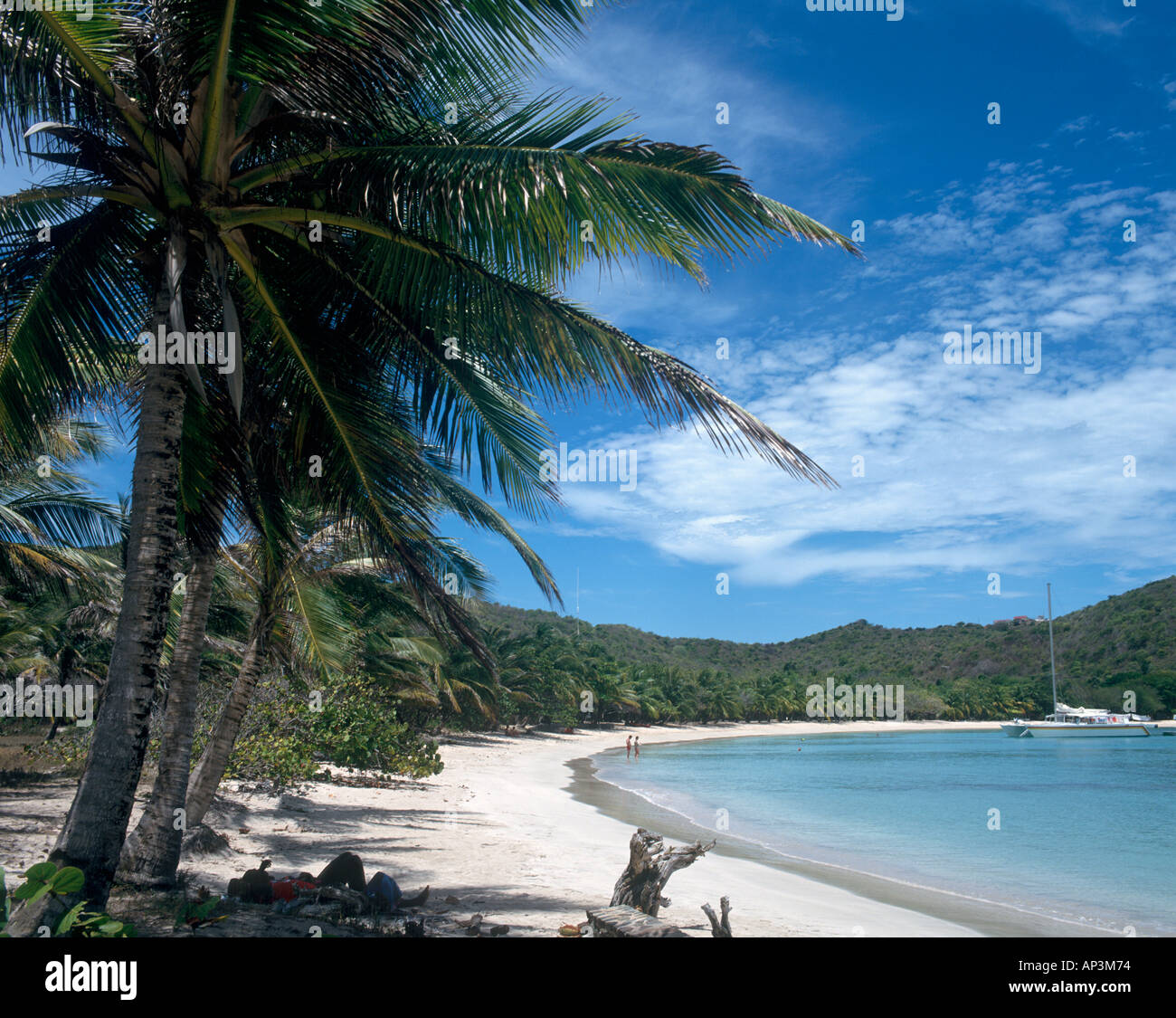 Spiaggia tranquilla, Satwhistle Bay, Mayreau, Grenadine, West Indies, dei Caraibi Foto Stock