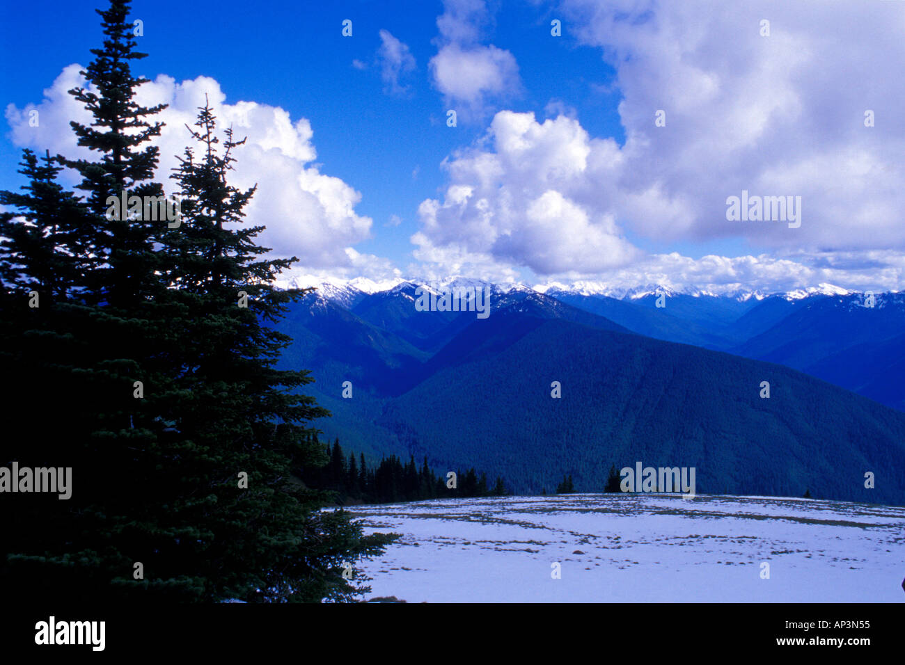Guardando verso sud da Hurricane Ridge il parco nazionale di Olympic Washington Foto Stock