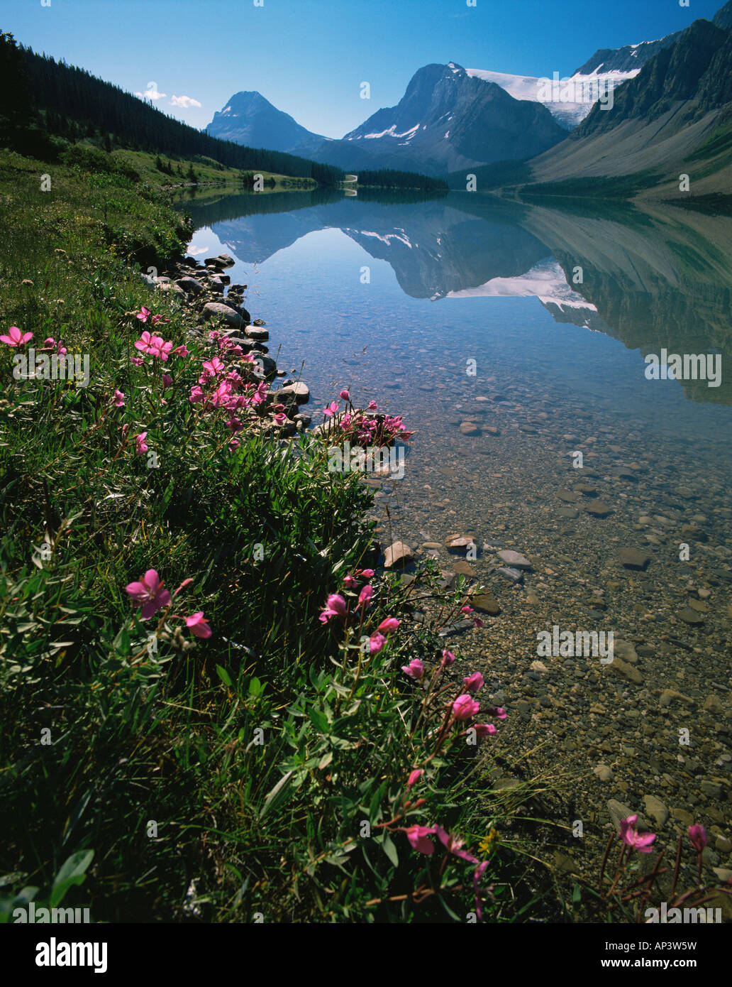Al Lago Bow presso il parco nazionale di Banff Foto Stock