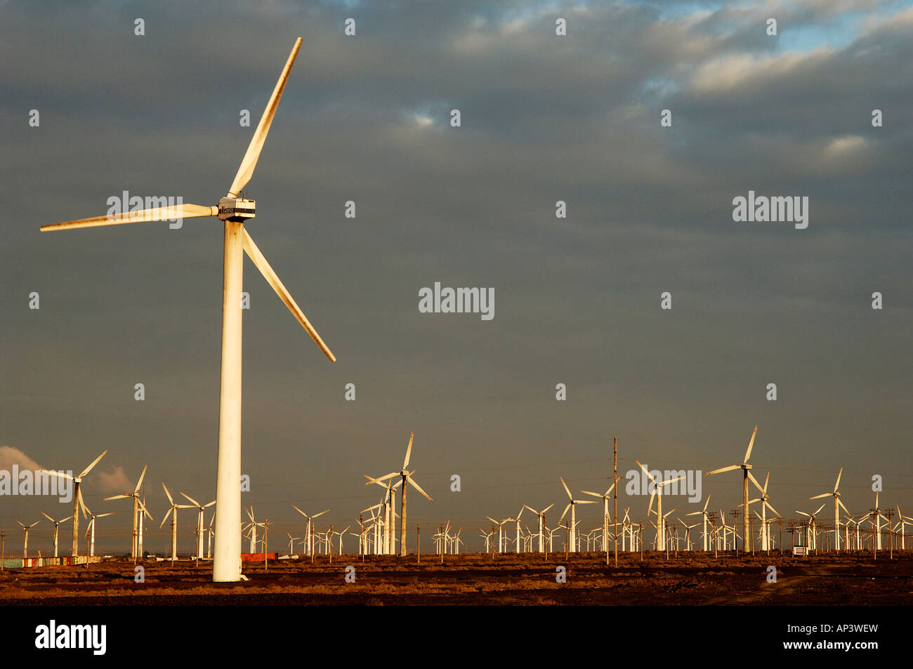 Più grande parco eolico in Cina in Dabancheng fuori Urumqii Xinjiang Foto Stock