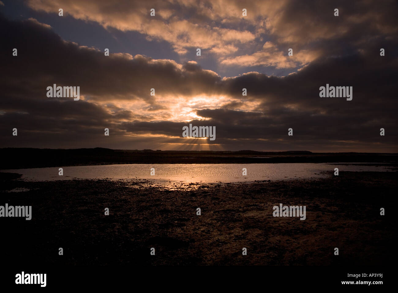 Morston paludi Norfolk sera d'inverno Foto Stock