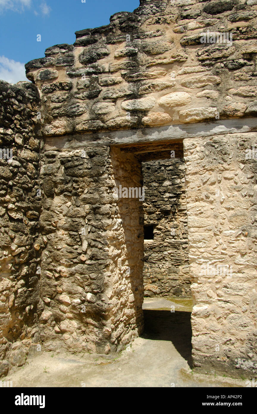America centrale, Belize, Chiquibul riserva forestale, Caracol. Edifici di astronomia. Foto Stock
