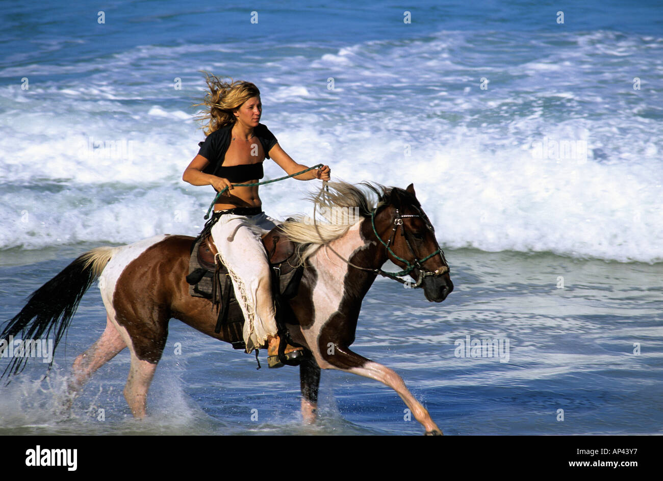 Il Brasile, Stato di Rio Grande do Norte, Natal, Tibau do Sul. La donna a cavallo sulla spiaggia. (MR) Foto Stock