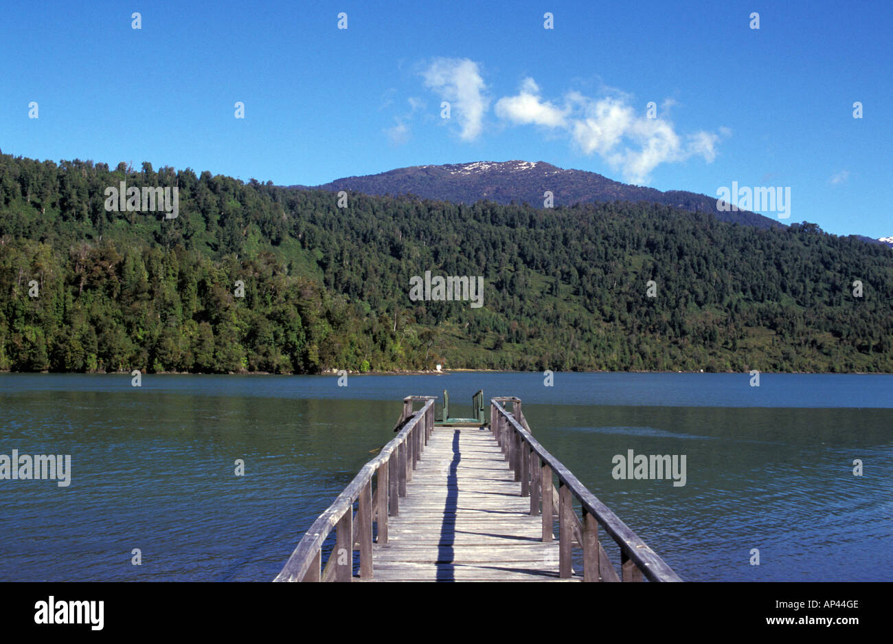 Il Cile, Patagonia, Canal Puyuhuapi. Foto Stock