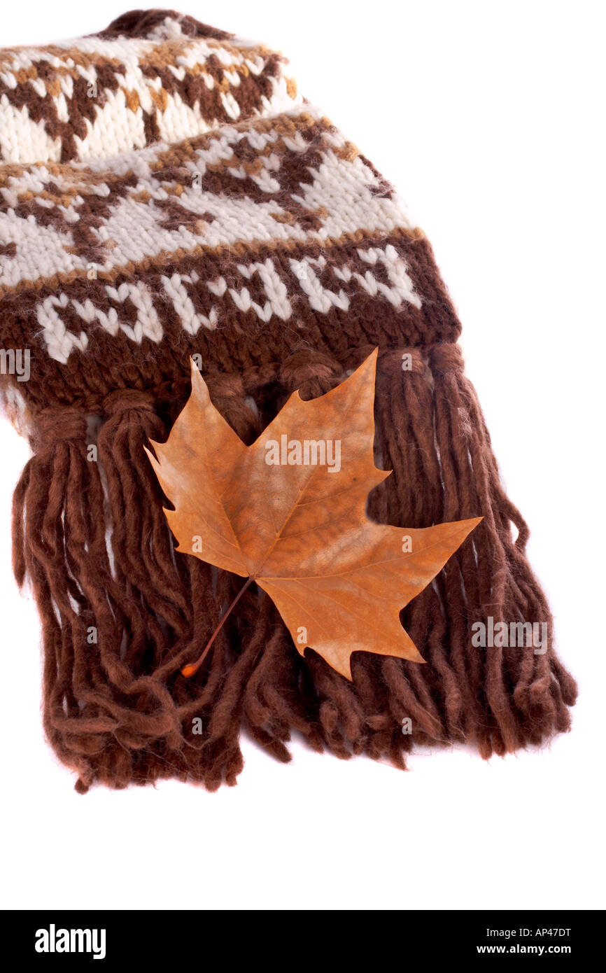 Foglie di oltre un foulard marrone Foto Stock