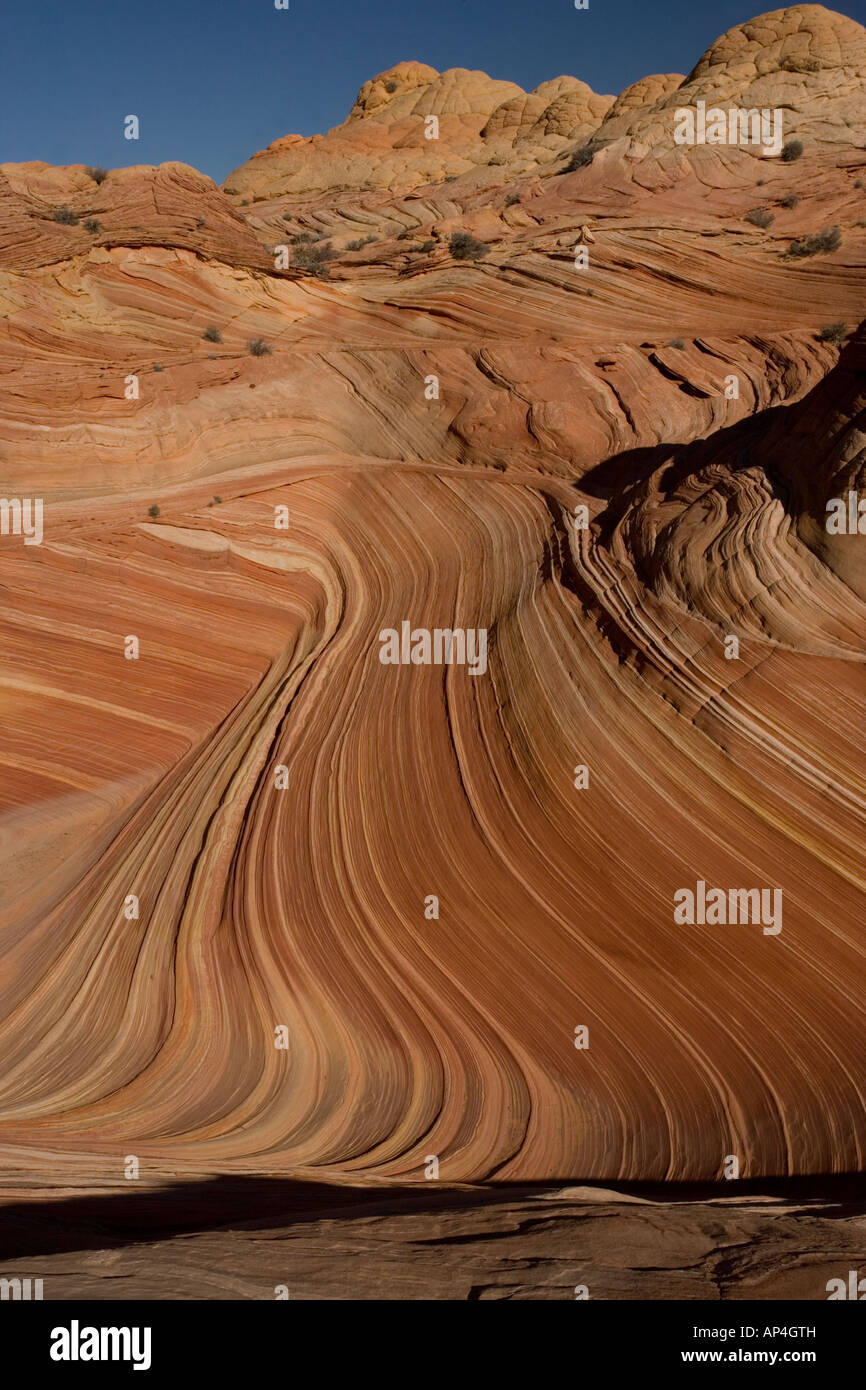 L'onda Paria Canyon-Vermilion Cliffs Wilderness, monumento nazionale, Arizona, Utah, Stati Uniti d'America Foto Stock