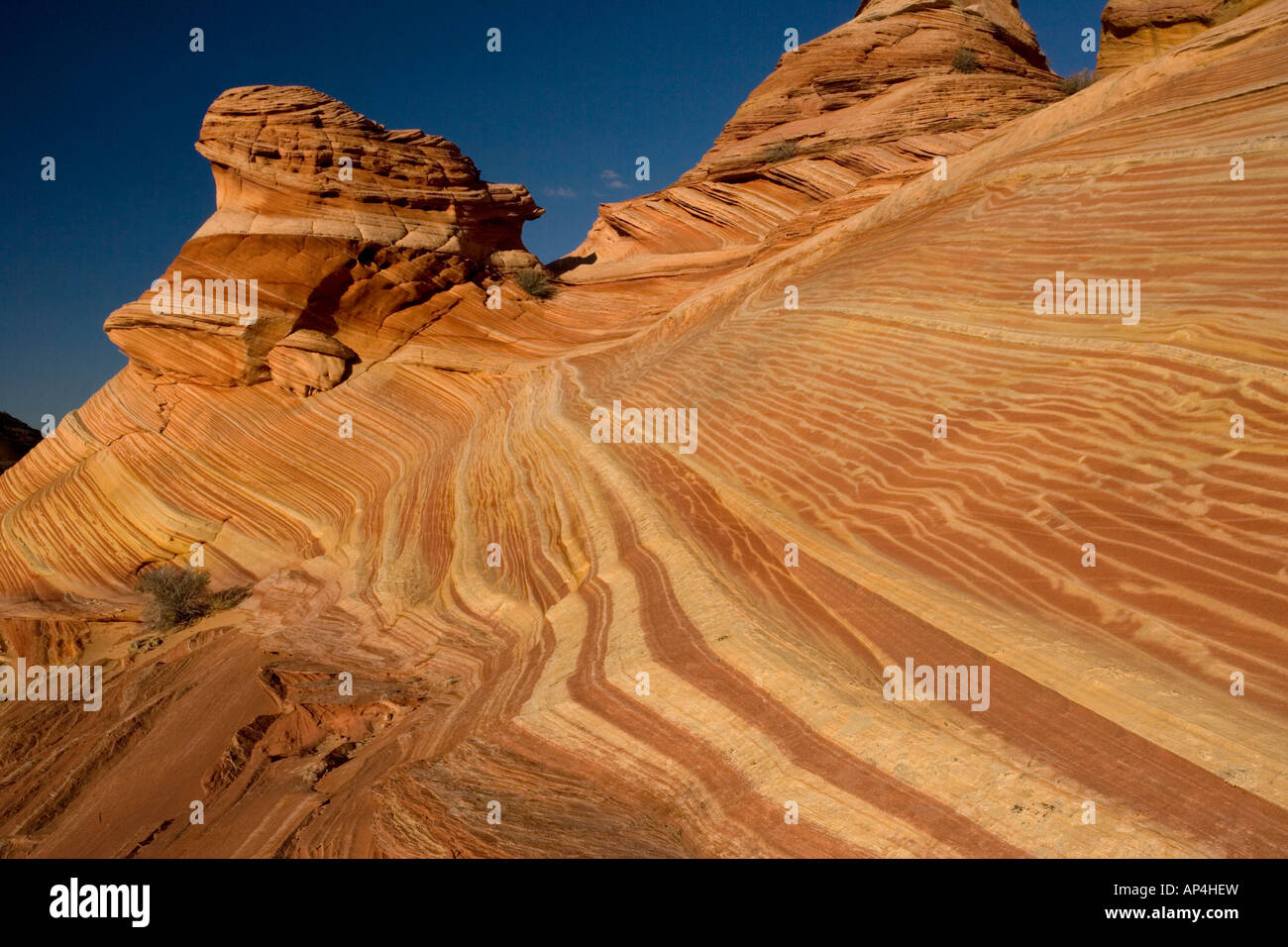 L'Onda una straordinaria area di sinuose eroso nastrati rocce di arenaria nella Paria Vermillion Cliffs National Monument in Arizona Foto Stock
