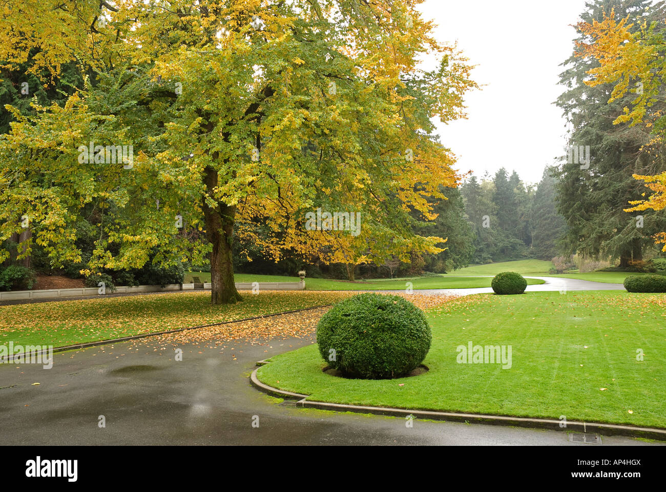Bainbridge Island Washington Foto Stock
