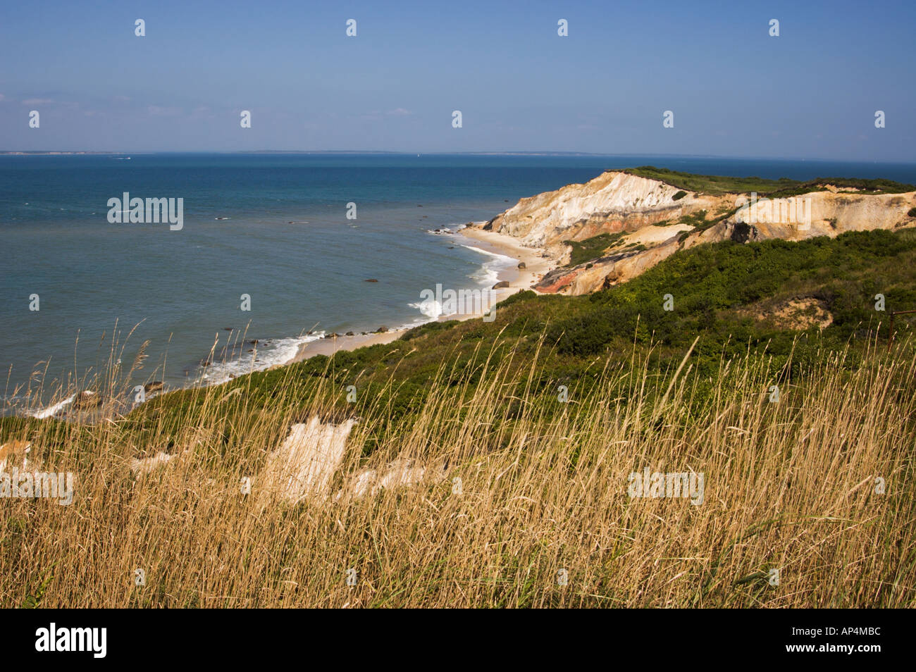 Scogli colorati di Gay Head Beach, Martha's Vineyard Massachusetts incorniciato da graminacee selvatiche in primo piano Foto Stock