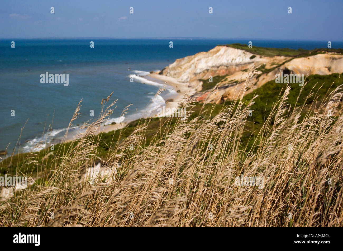 Scogli colorati di Gay Head Beach, Martha's Vineyard Massachusetts incorniciato da graminacee selvatiche in primo piano Foto Stock