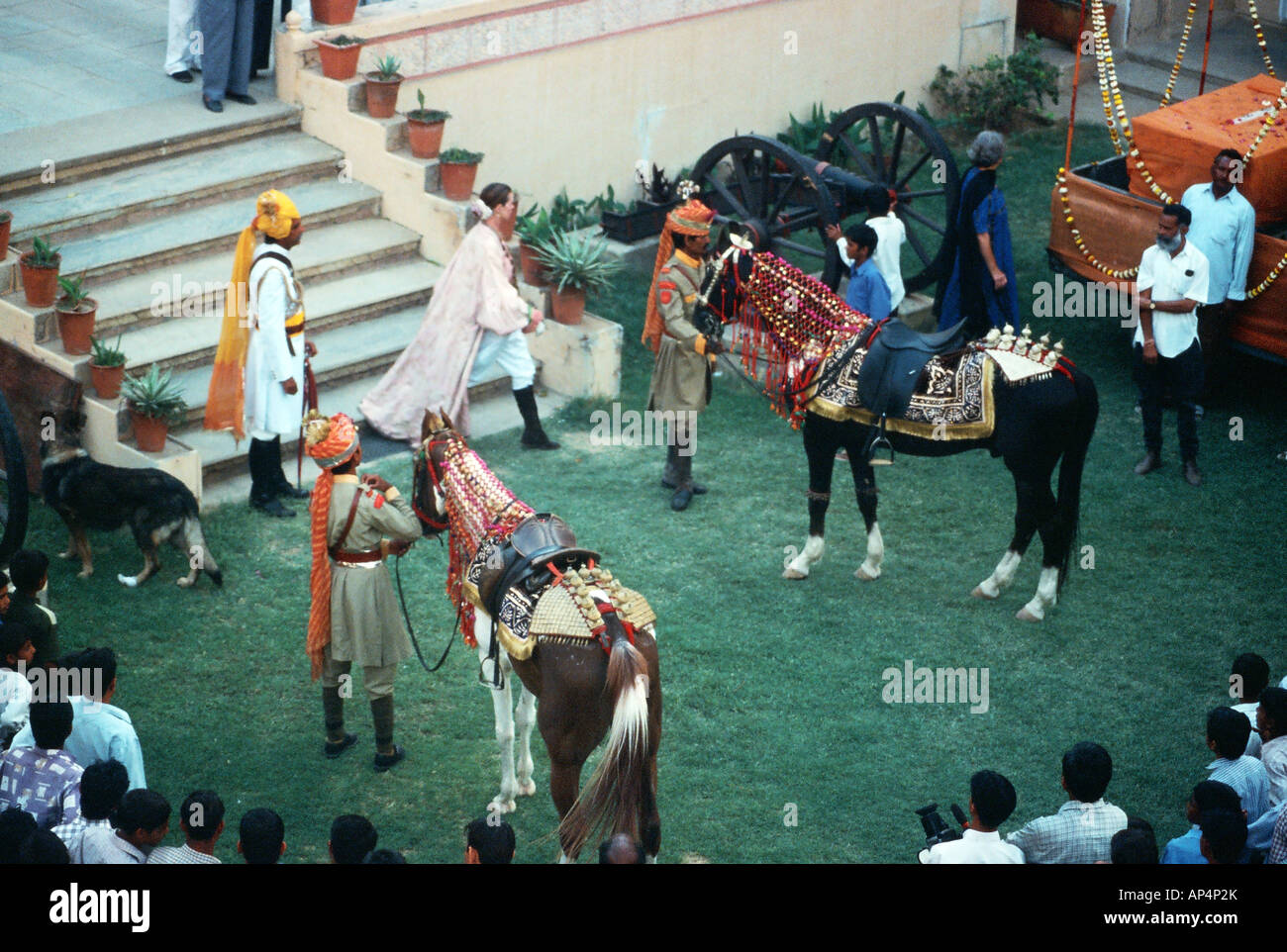Cavalli Marwari Foto Stock