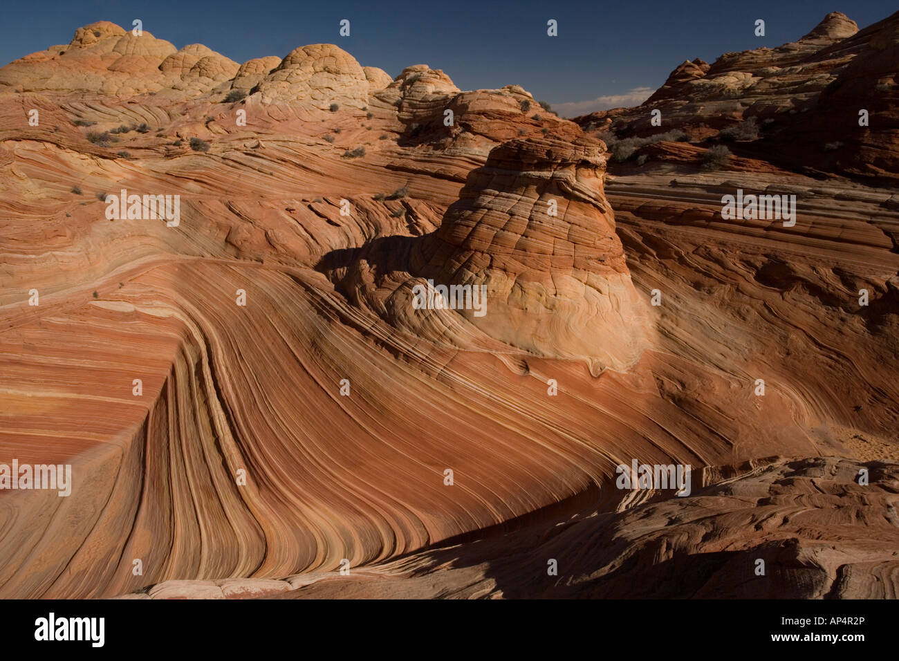 L'Onda una straordinaria area di sinuose eroso nastrati rocce di arenaria nella Paria Vermillion Cliffs National Monument in Arizona Foto Stock