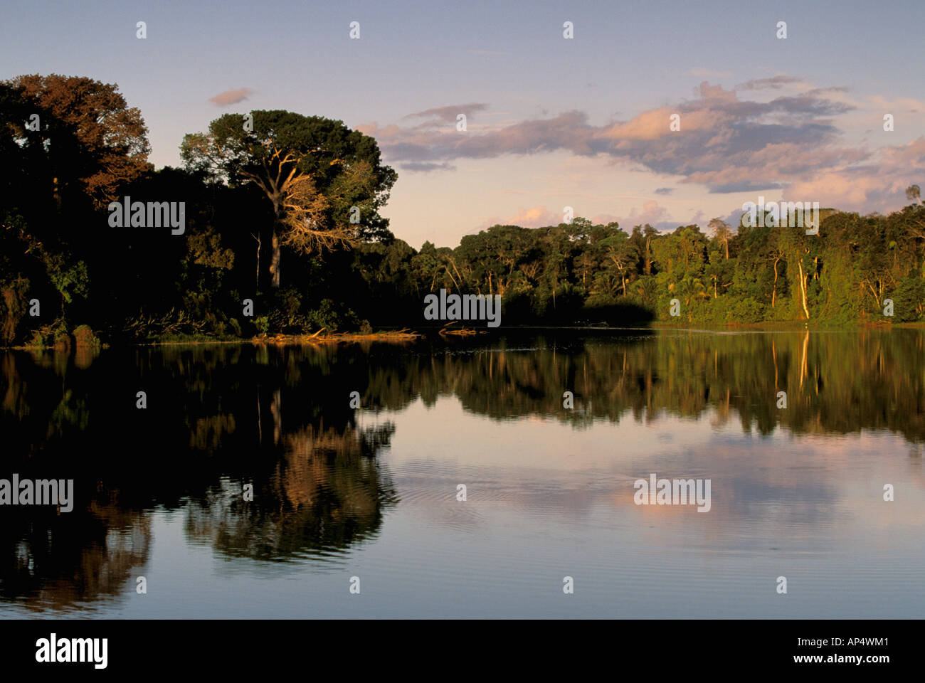 Sud America, Perù, Parco Nazionale del Manu, foresta pluviale. Manu Fiume e paesaggio Foto Stock