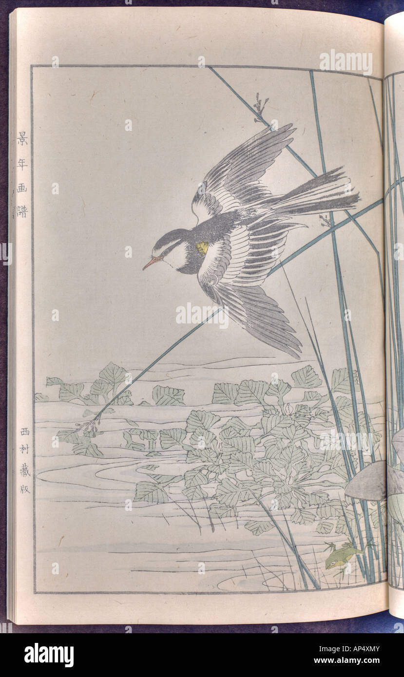 Gli uccelli e fiori illustrazioni di Keinen: estate 1891 Pagina 29 Foto Stock