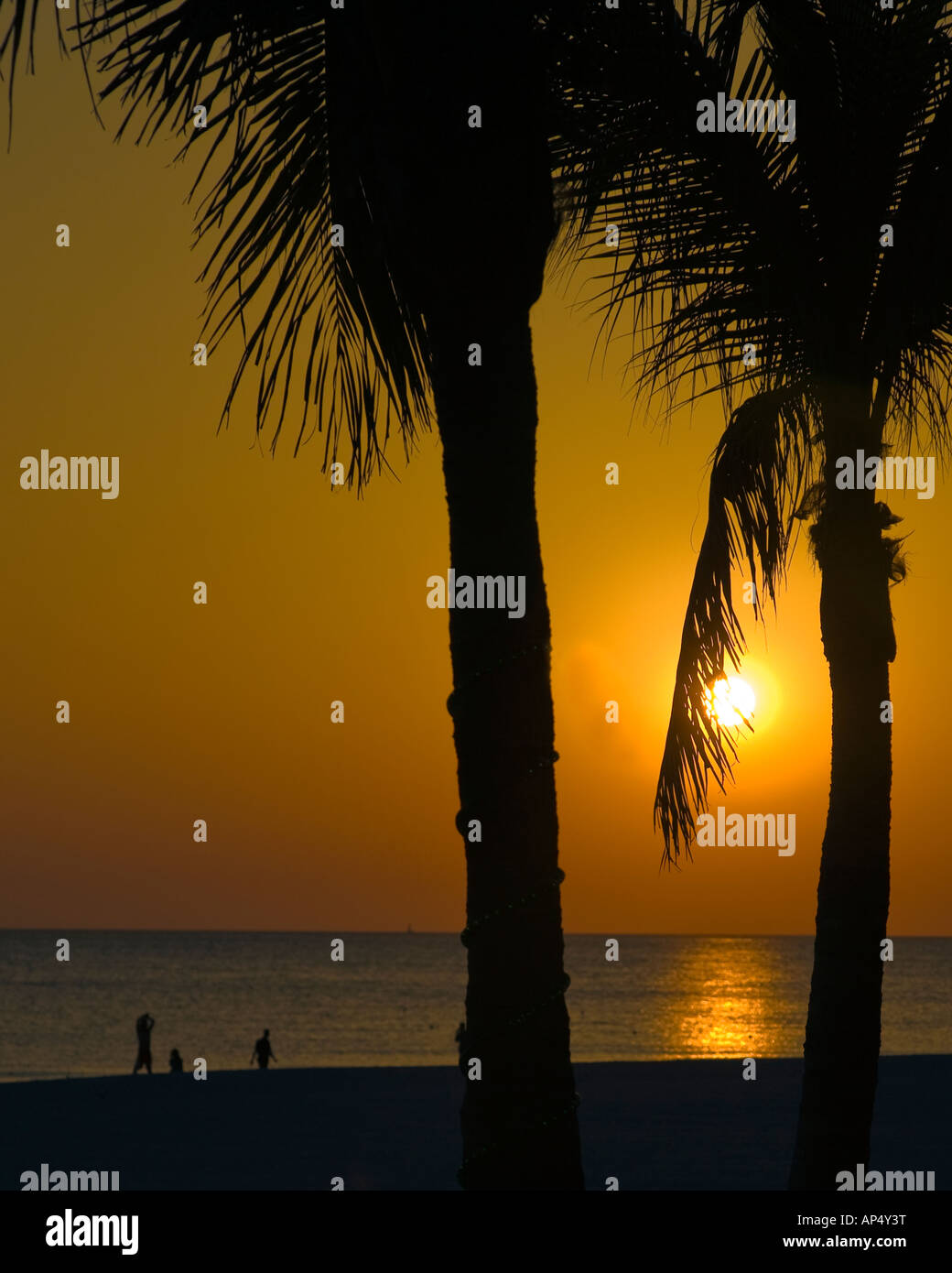 Tramonto e palme Silhouette su St Petes Beach Florida Foto Stock