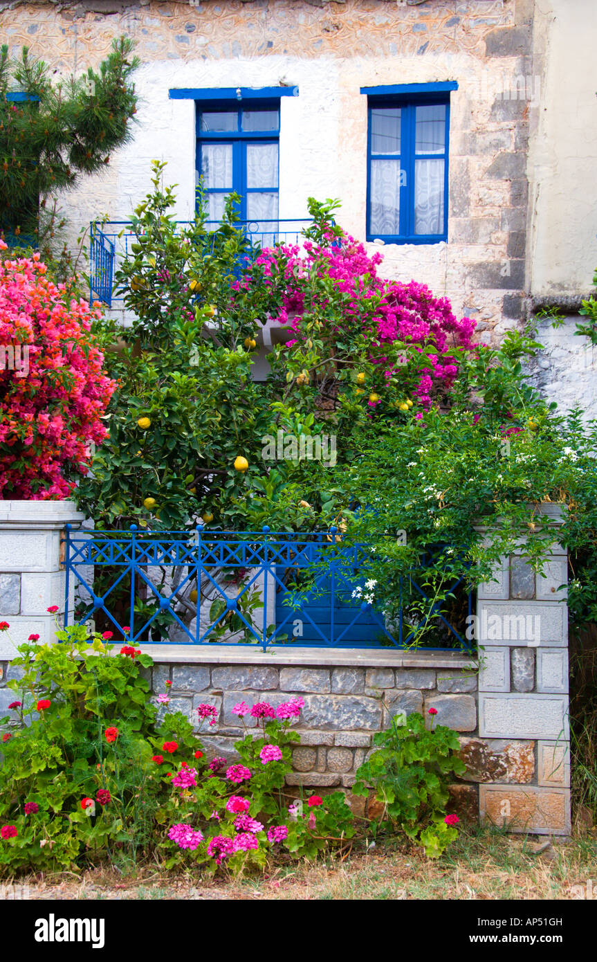 Bouganville e una varietà di fiori di primavera adornano le recinzioni cancelli e cortili di case in Kardamyli Peloponneso Grecia Foto Stock