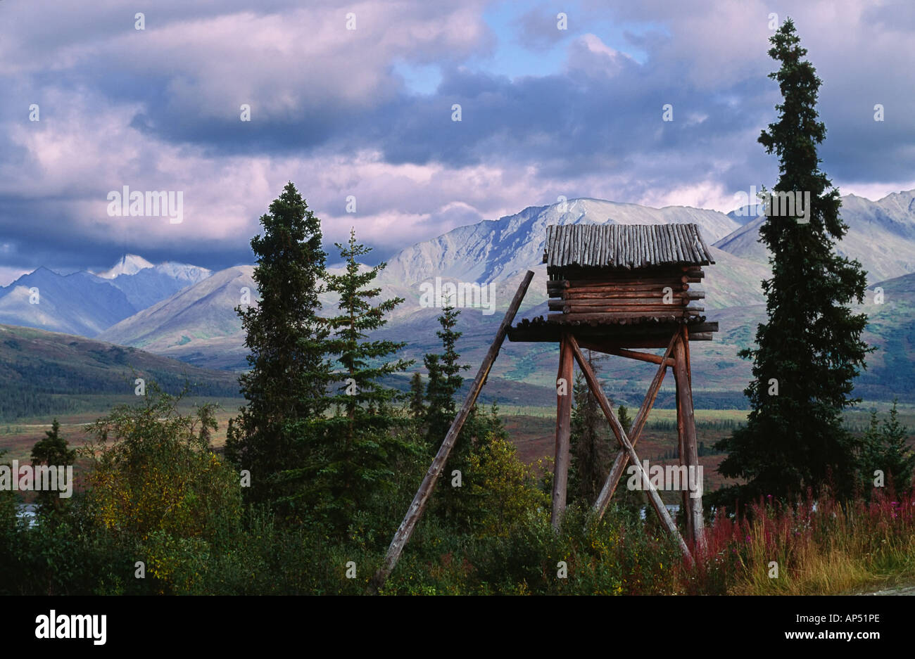 Una struttura di registro in Alaska (Parco Nazionale di Denali) utilizzato per proteggere gli alimenti da orsi e altri animali. Utilizzato anche per dormire. Foto Stock