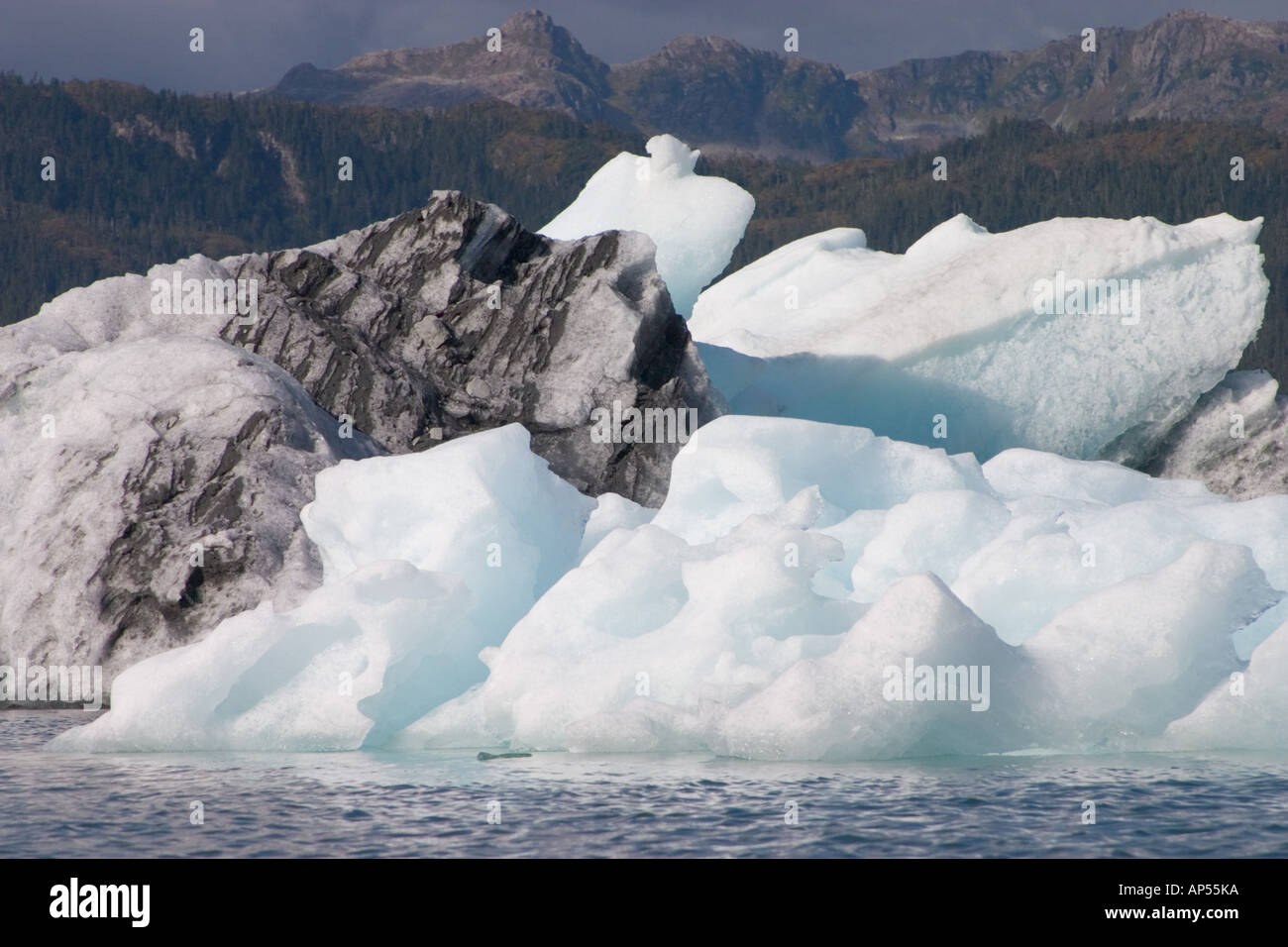 Nord America, USA, Alaska. Iceberg vicino al Ghiacciaio Columbia. Foto Stock