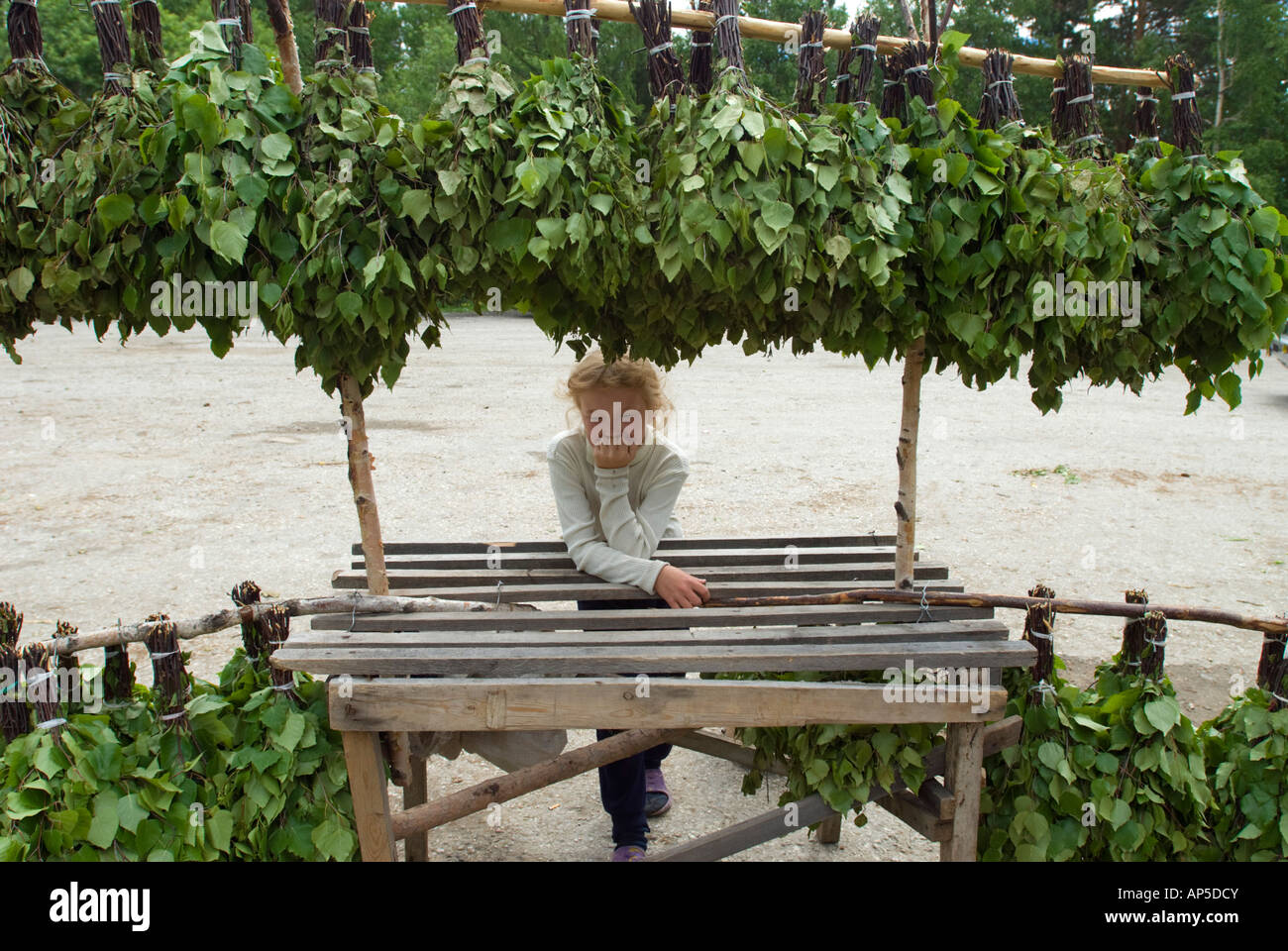 White rami di betulla o Venik per uso in Banya per la vendita in strada in  Siberia Russa 2006 Foto stock - Alamy