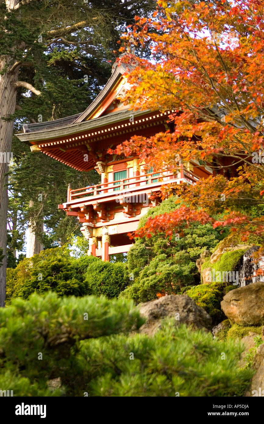 Stati Uniti, California, San Francisco Golden Gate Park, giardino giapponese del tè. Foto Stock