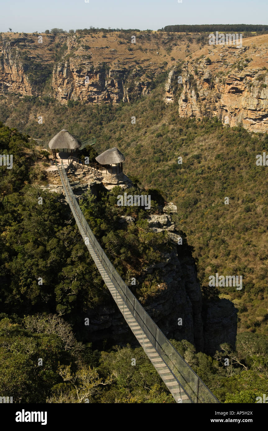 Sospensione ponte sopra il fiume Umzimkulwane, Oribi Gorge Riserva Naturale, KwaZulu Natal, Sud Africa Foto Stock