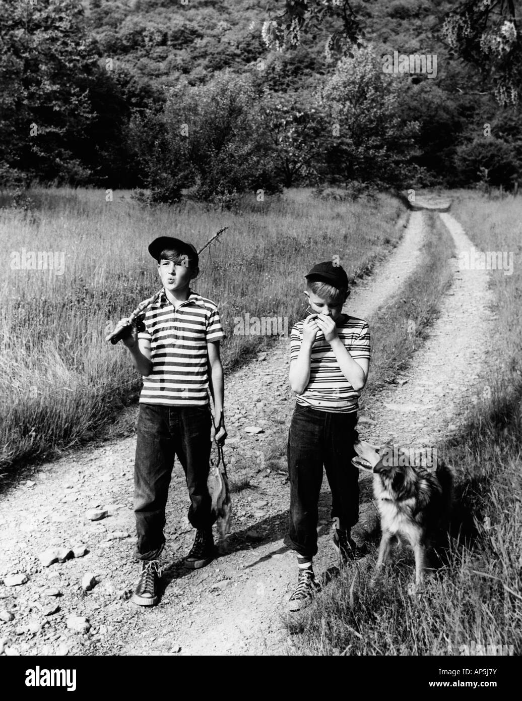 Carefree ragazzi del cane e di andare a pesca come essi a piedi verso il basso lungo una sterrata strada Paese Foto Stock