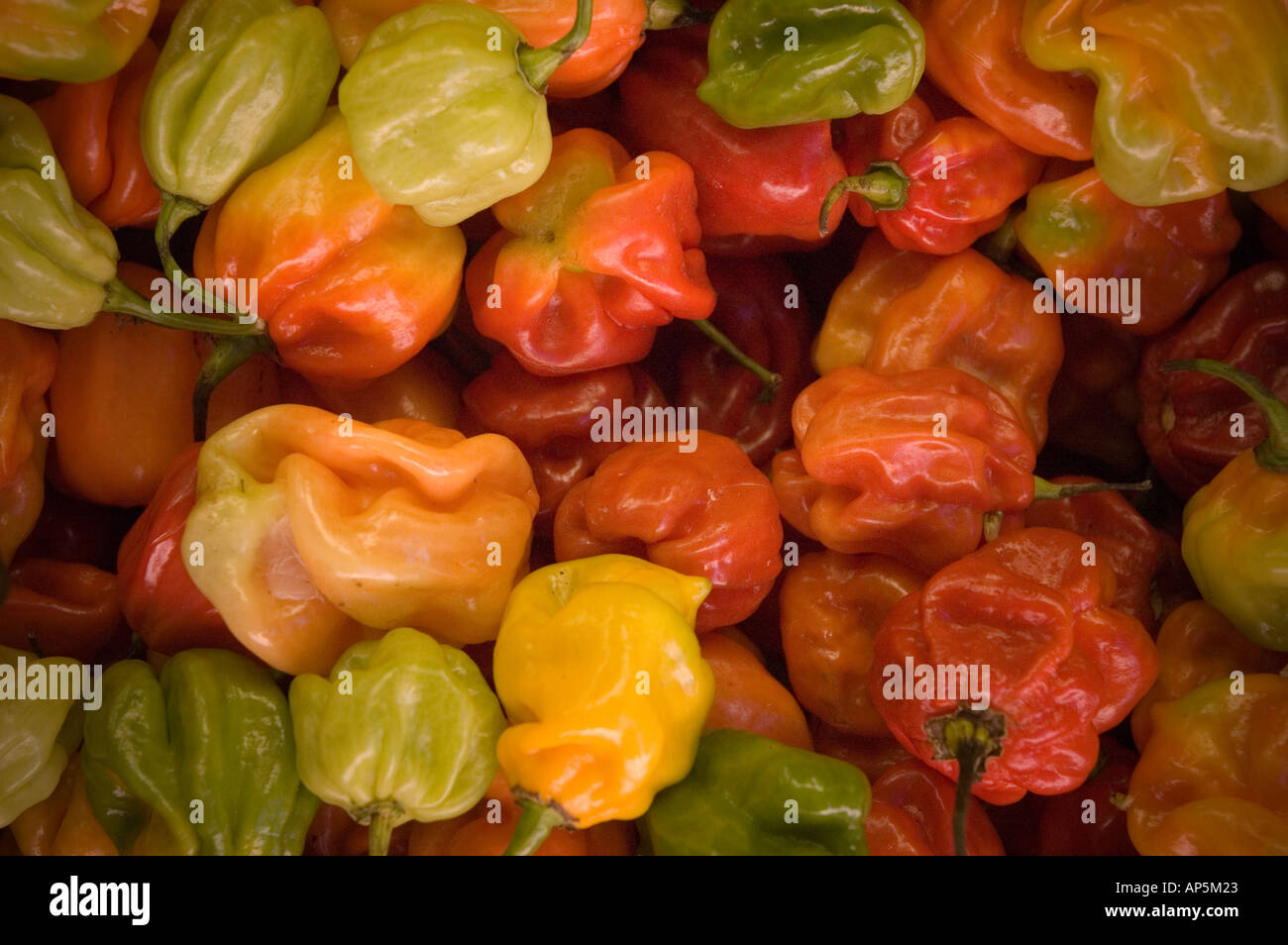 Close-up di peperoni, Mercato di Brixton, Brixton, Londra, Inghilterra Foto Stock