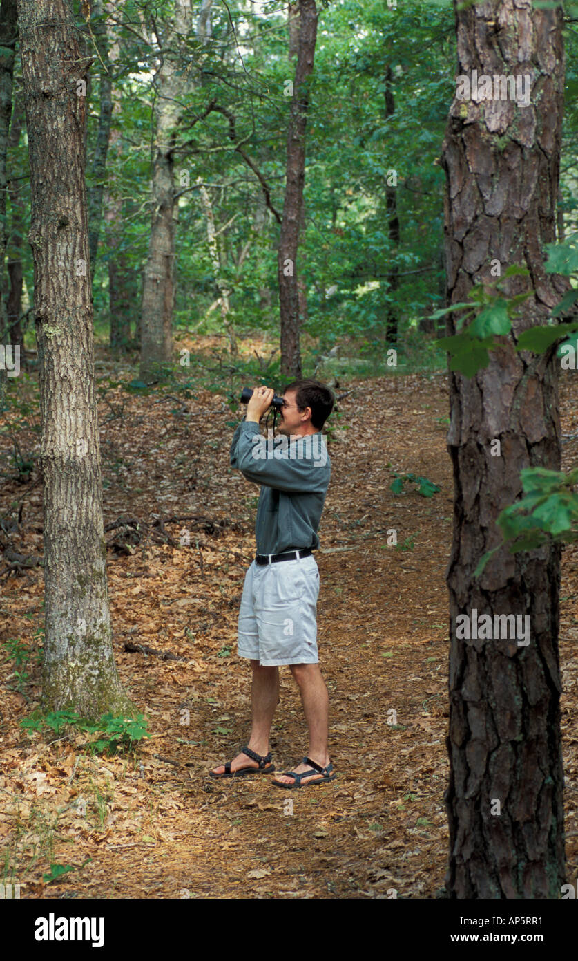 Harwich, MA Birdwatching in vicino al fiume Monomoy (a.k