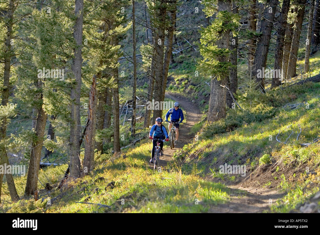 Bangtail Ridge Trail vicino a Bozeman Montana (MR) Foto Stock