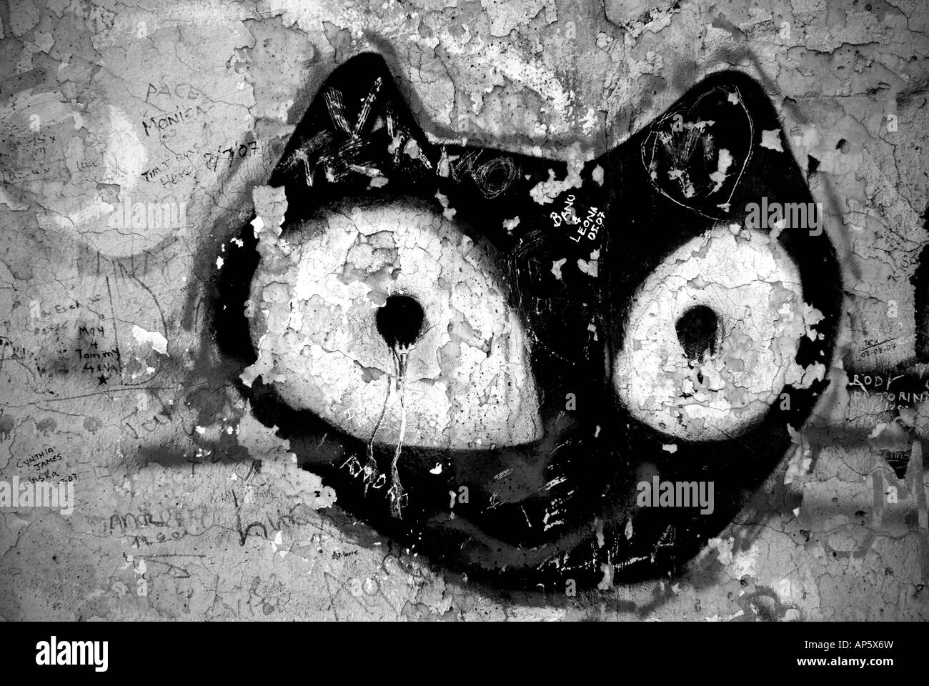 Germania Berlino. La parete graffiti. Cat Foto Stock