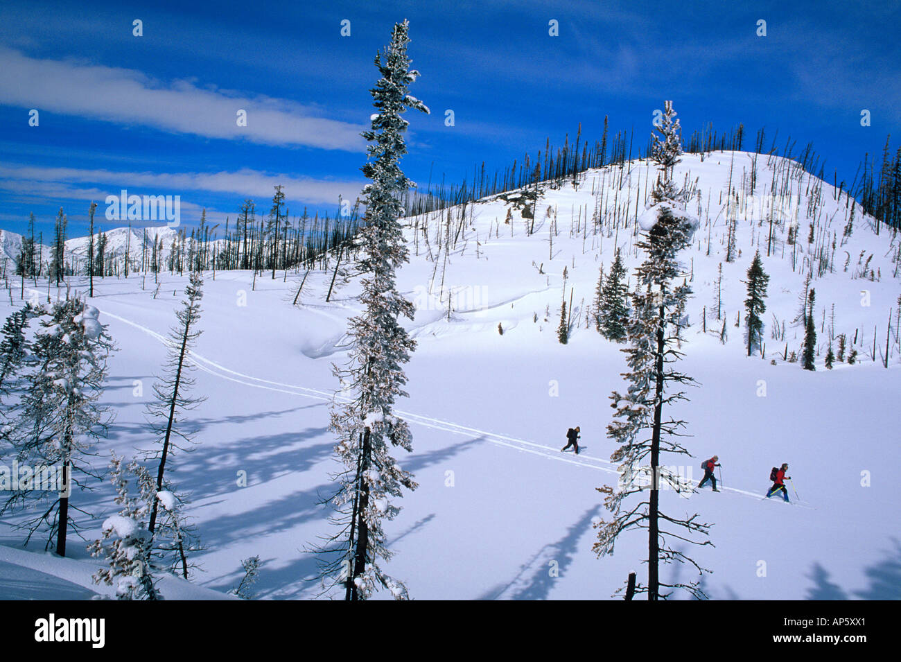 Sci alpinismo su lago ghiacciato a Marias Pass in Montana (MR) Foto Stock