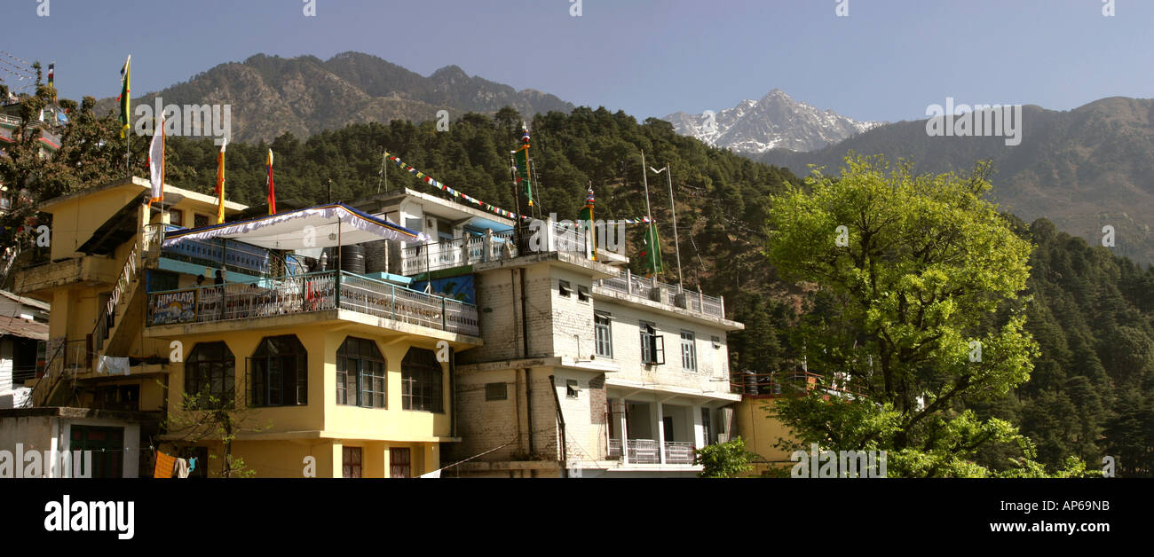 India Himachal Pradesh McLeod Ganj con montagne himalayane dietro panoramic Foto Stock