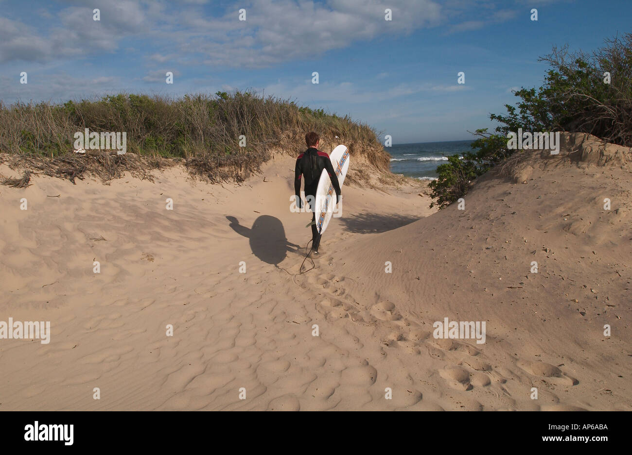 Montauk NY 051403 surfisti in Montauk Gordon M concedere foto Foto Stock