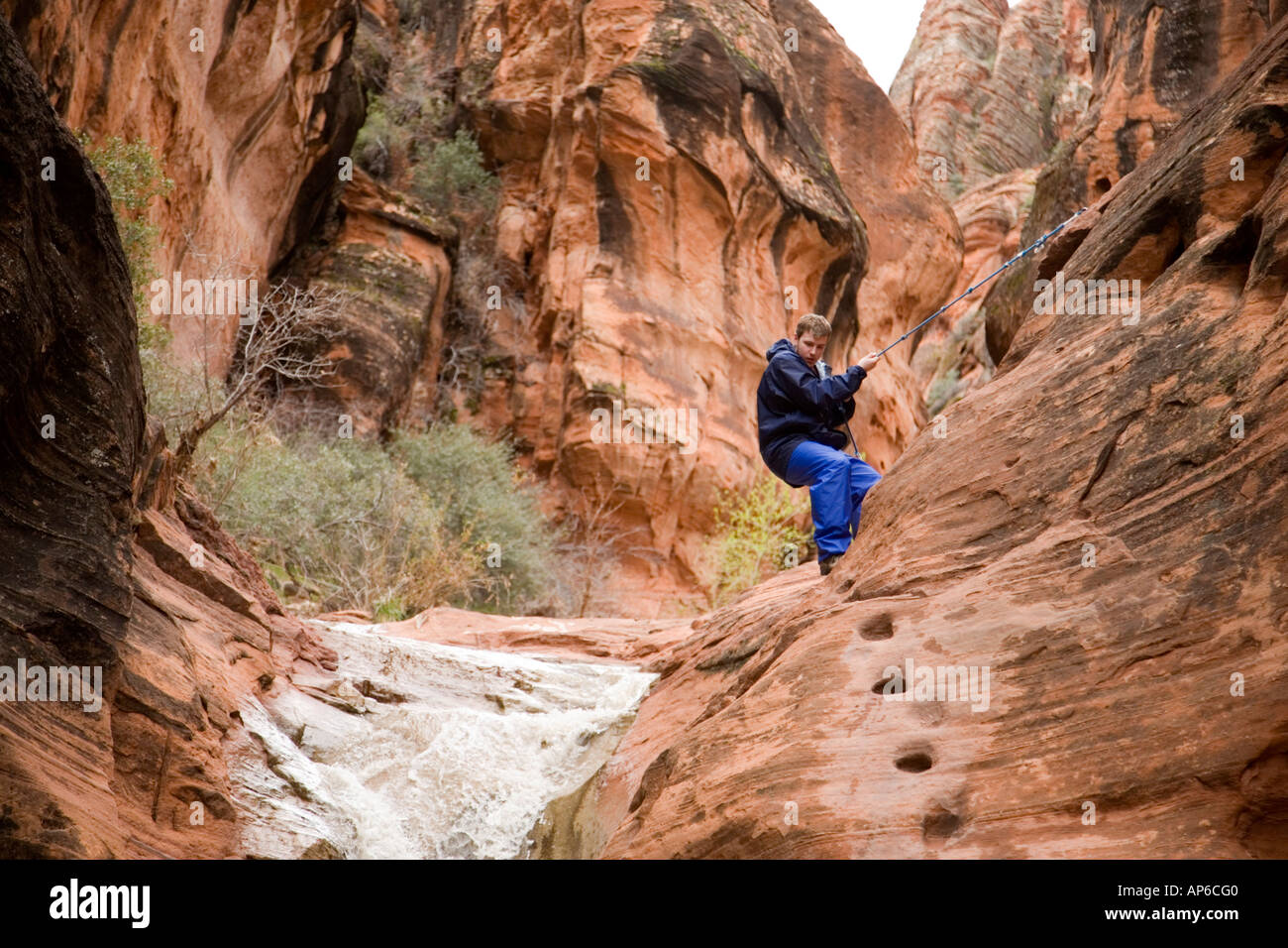 Escursionista naviga intorno a quaglie Creek Waterfall in scogliere rosso deserto preservare vicino a St George Utah (MR) Foto Stock