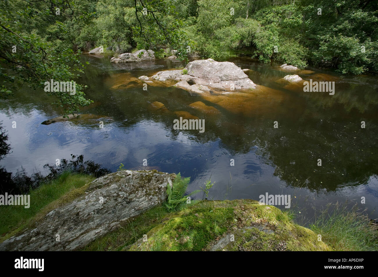 Fiume nella valle di Elan Foto Stock